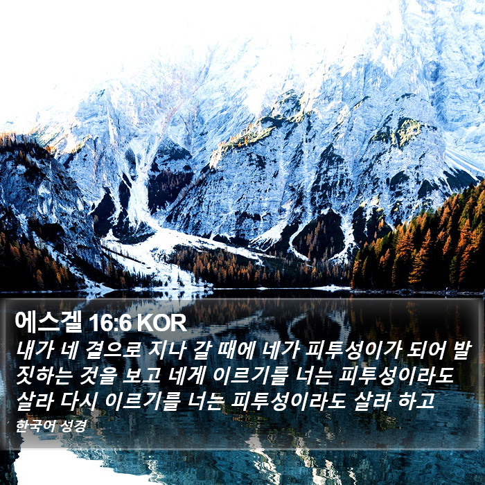 에스겔 16:6 KOR Bible Study