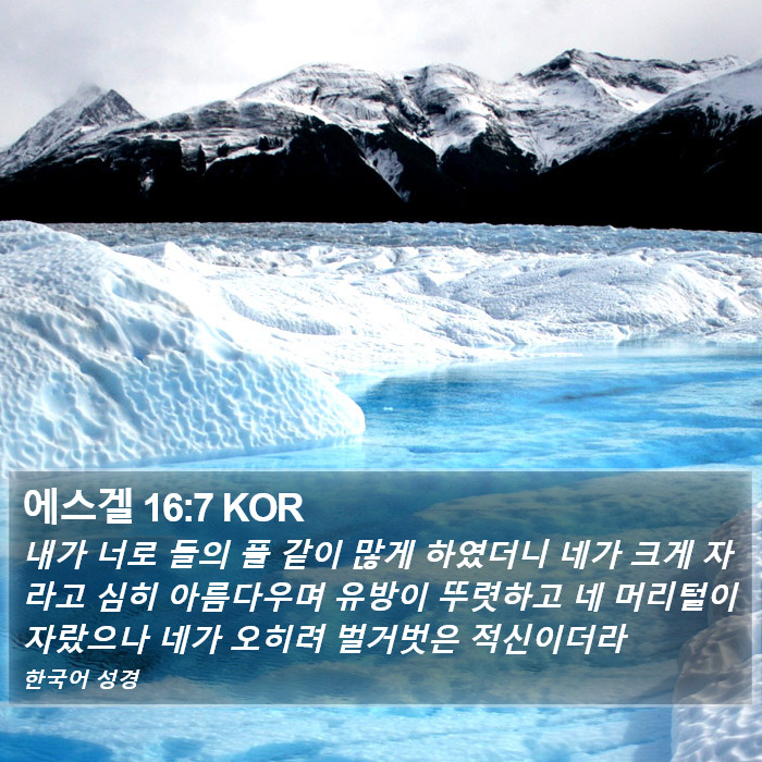 에스겔 16:7 KOR Bible Study