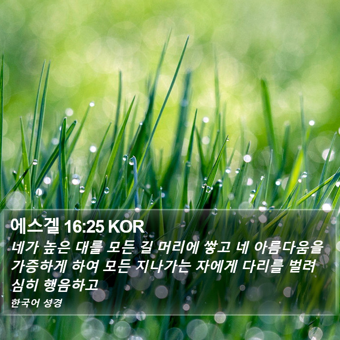 에스겔 16:25 KOR Bible Study