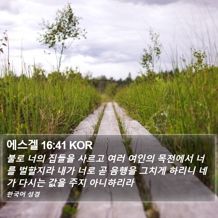 에스겔 16:41 KOR Bible Study