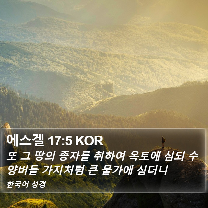 에스겔 17:5 KOR Bible Study