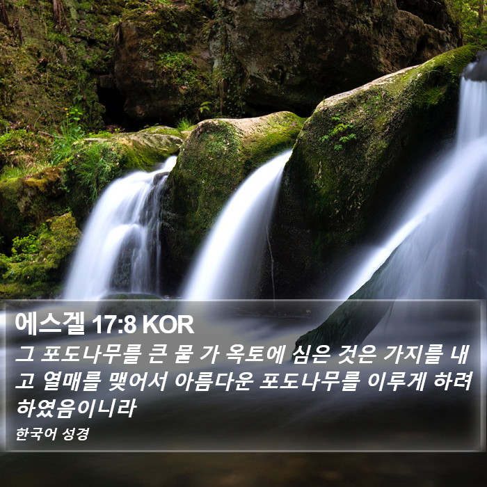 에스겔 17:8 KOR Bible Study