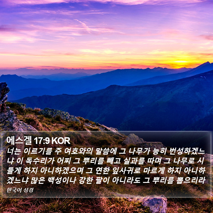 에스겔 17:9 KOR Bible Study