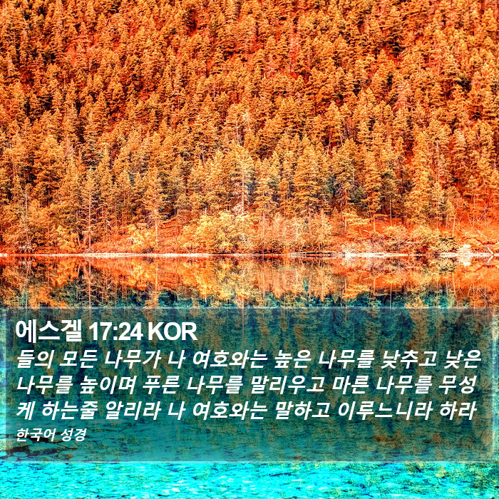 에스겔 17:24 KOR Bible Study