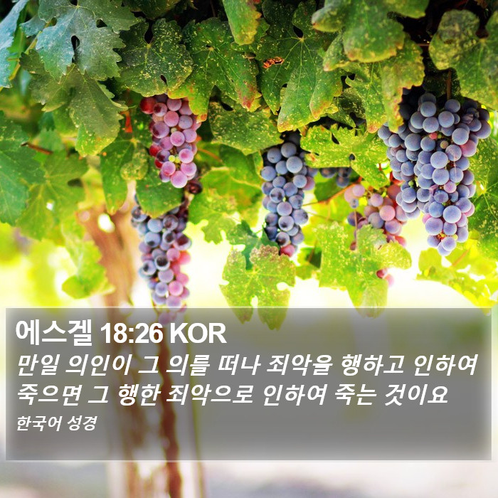 에스겔 18:26 KOR Bible Study