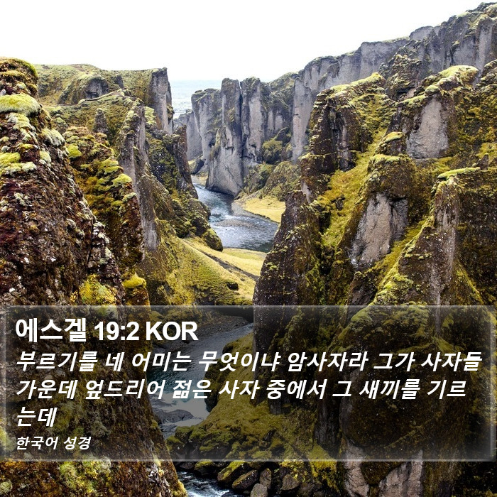 에스겔 19:2 KOR Bible Study