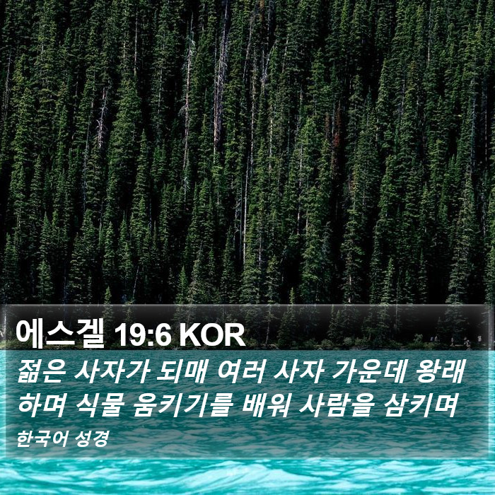 에스겔 19:6 KOR Bible Study