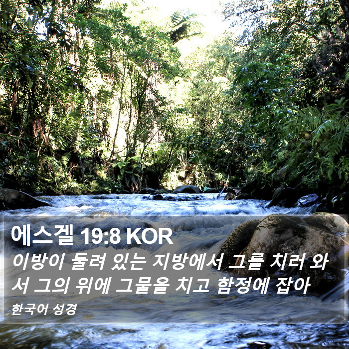 에스겔 19:8 KOR Bible Study