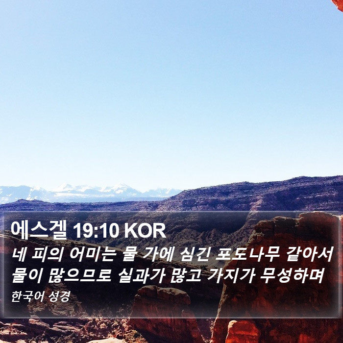 에스겔 19:10 KOR Bible Study