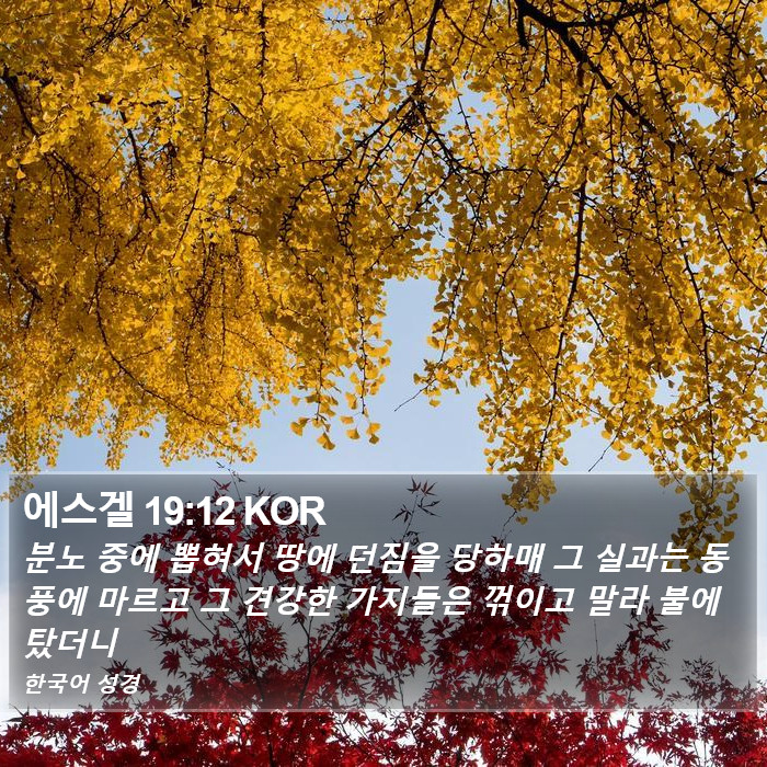 에스겔 19:12 KOR Bible Study