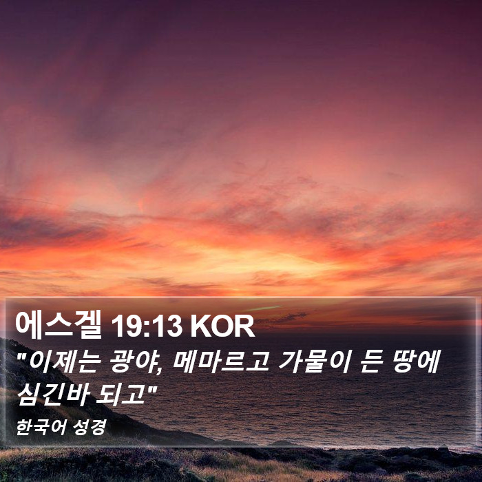 에스겔 19:13 KOR Bible Study