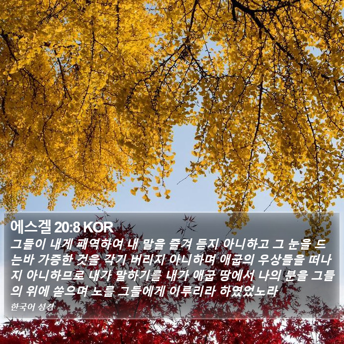 에스겔 20:8 KOR Bible Study