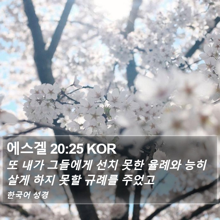 에스겔 20:25 KOR Bible Study