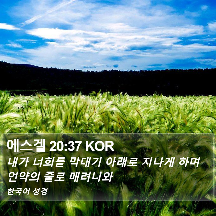 에스겔 20:37 KOR Bible Study