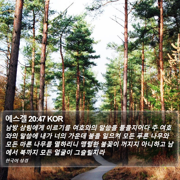 에스겔 20:47 KOR Bible Study