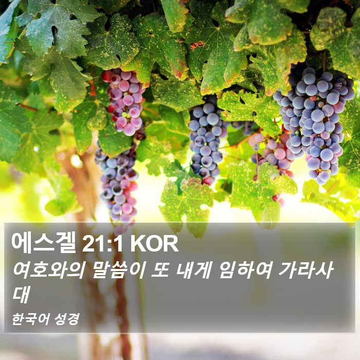 에스겔 21:1 KOR Bible Study