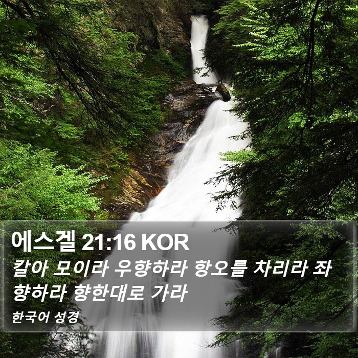 에스겔 21:16 KOR Bible Study