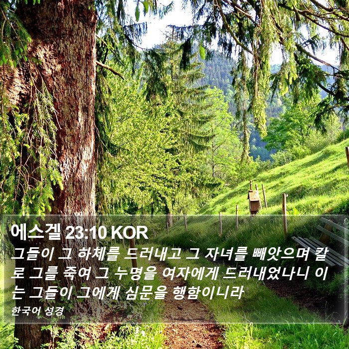 에스겔 23:10 KOR Bible Study