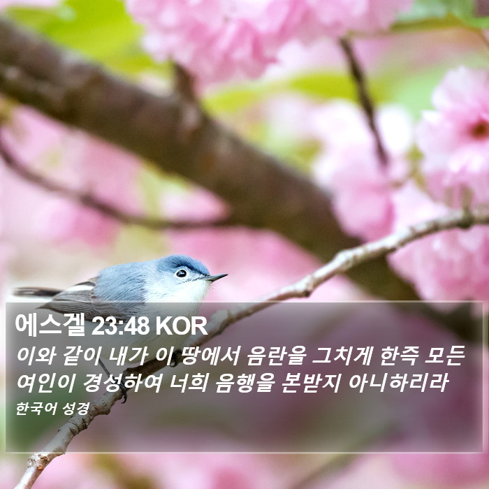 에스겔 23:48 KOR Bible Study