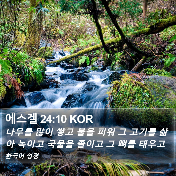 에스겔 24:10 KOR Bible Study