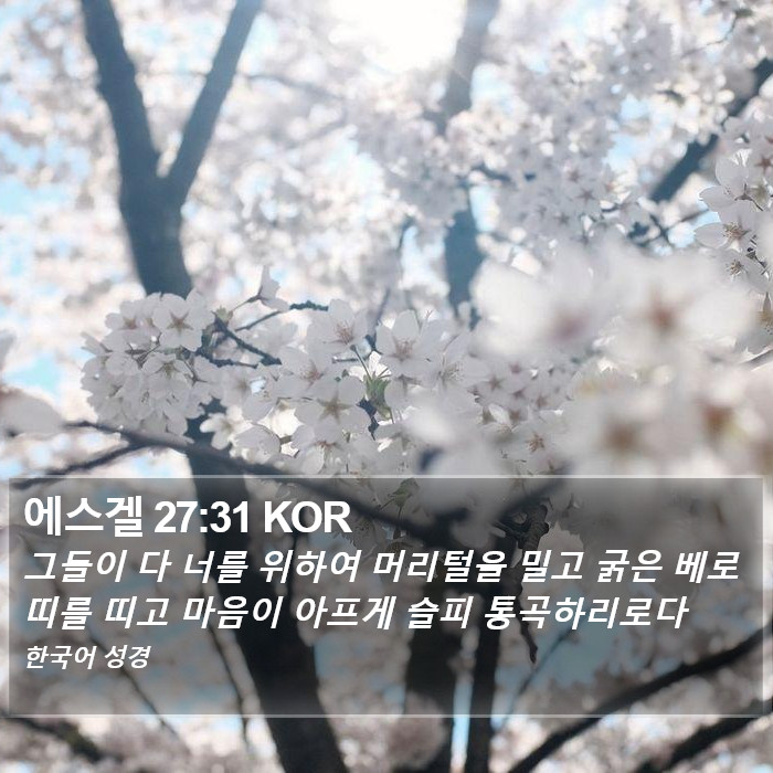 에스겔 27:31 KOR Bible Study