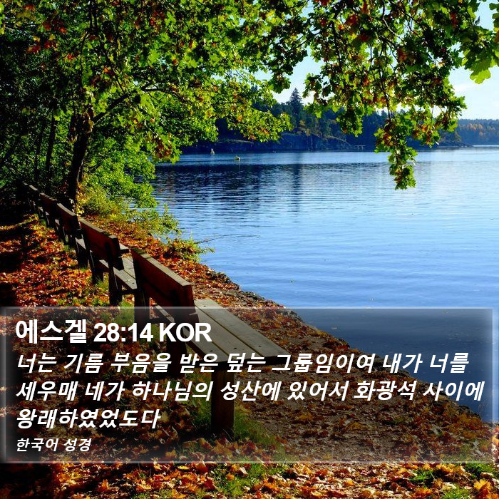 에스겔 28:14 KOR Bible Study