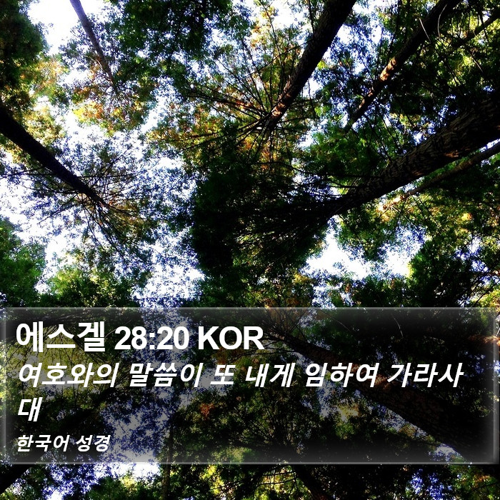 에스겔 28:20 KOR Bible Study