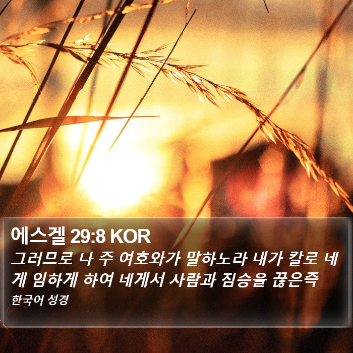 에스겔 29:8 KOR Bible Study