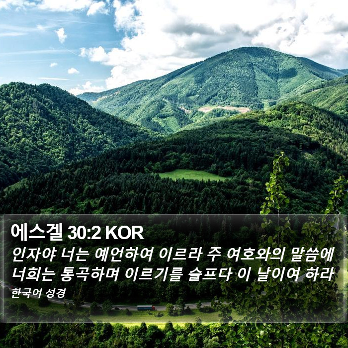 에스겔 30:2 KOR Bible Study