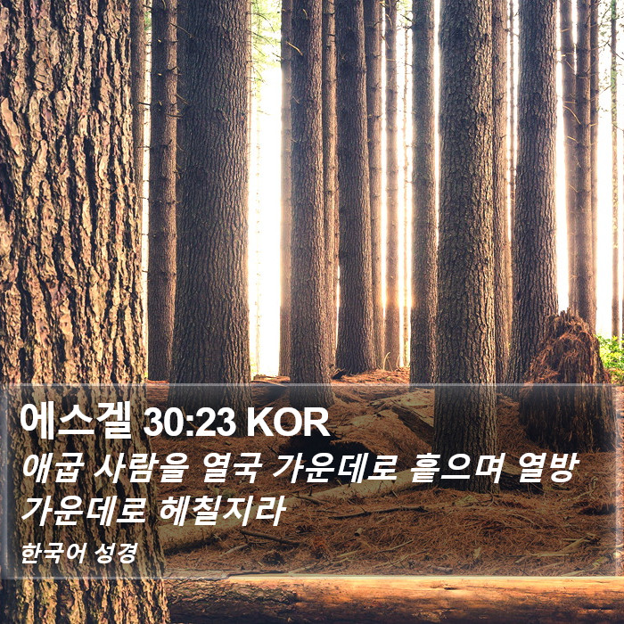 에스겔 30:23 KOR Bible Study