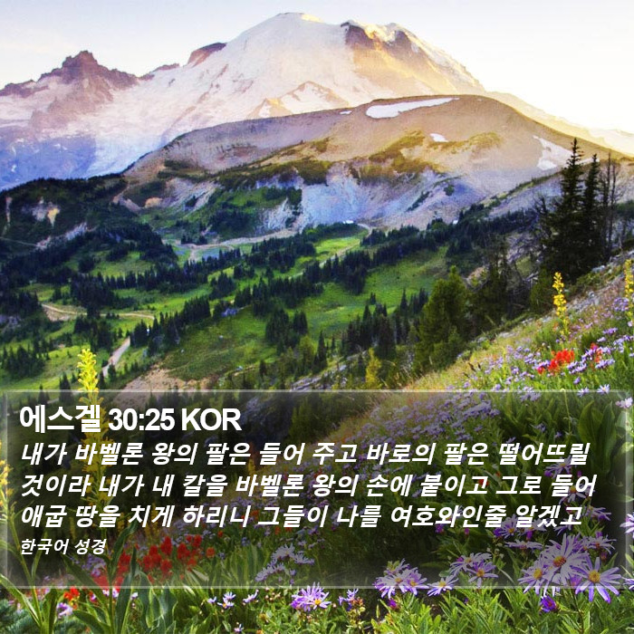 에스겔 30:25 KOR Bible Study