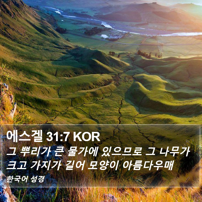 에스겔 31:7 KOR Bible Study