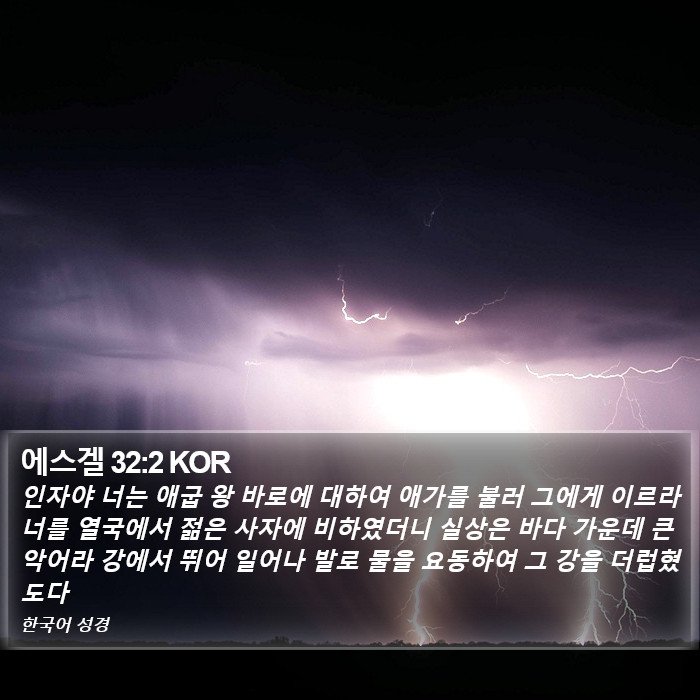 에스겔 32:2 KOR Bible Study