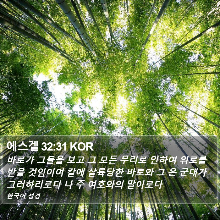 에스겔 32:31 KOR Bible Study