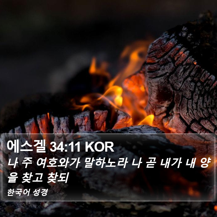 에스겔 34:11 KOR Bible Study