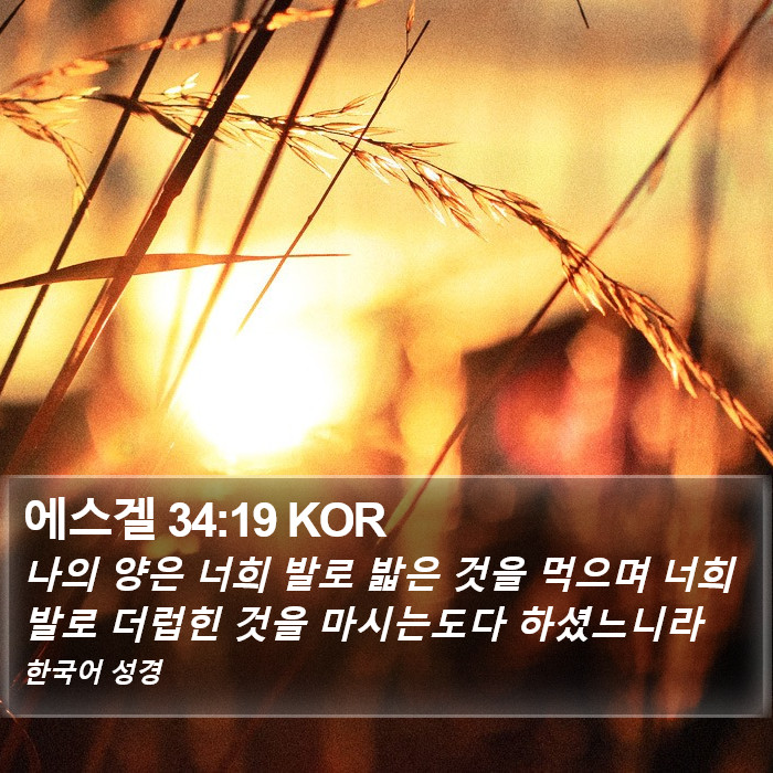 에스겔 34:19 KOR Bible Study