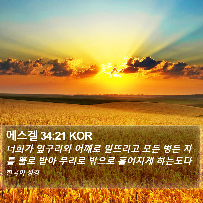 에스겔 34:21 KOR Bible Study