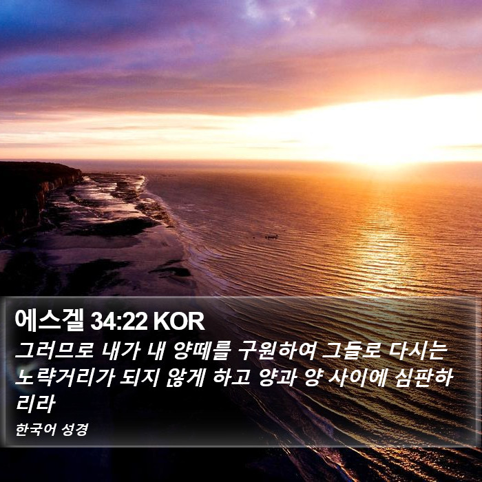 에스겔 34:22 KOR Bible Study