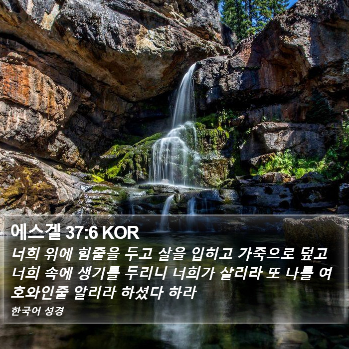 에스겔 37:6 KOR Bible Study