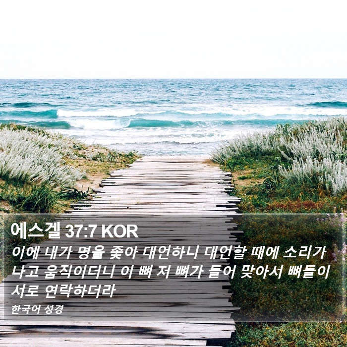 에스겔 37:7 KOR Bible Study