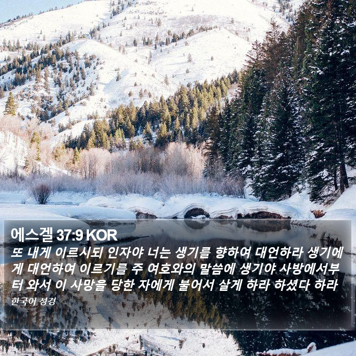 에스겔 37:9 KOR Bible Study