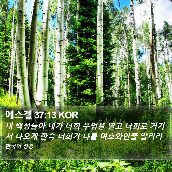 에스겔 37:13 KOR Bible Study