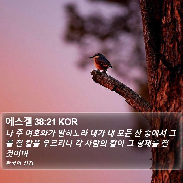 에스겔 38:21 KOR Bible Study