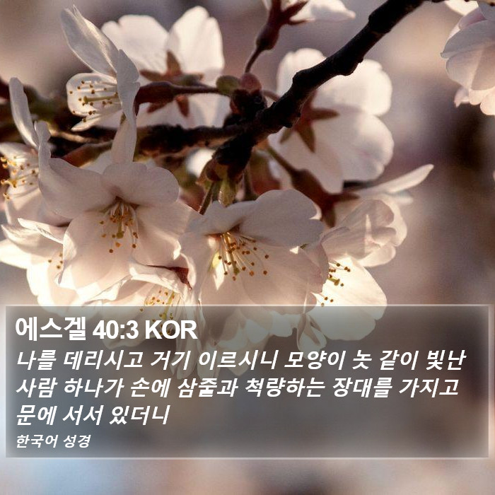 에스겔 40:3 KOR Bible Study