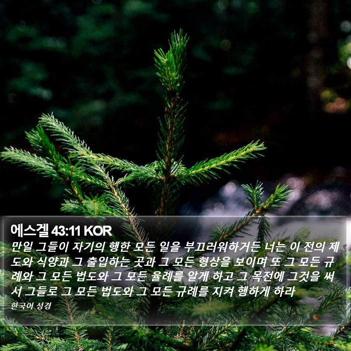 에스겔 43:11 KOR Bible Study