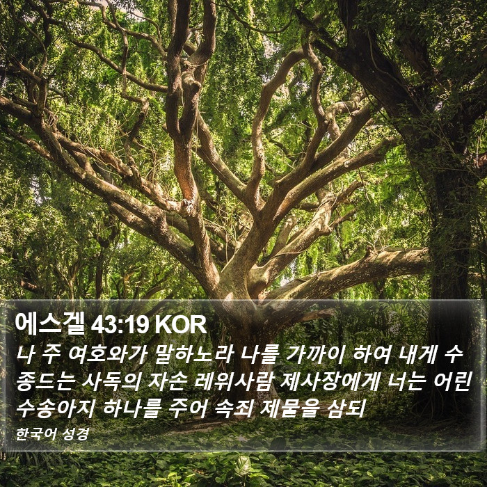 에스겔 43:19 KOR Bible Study