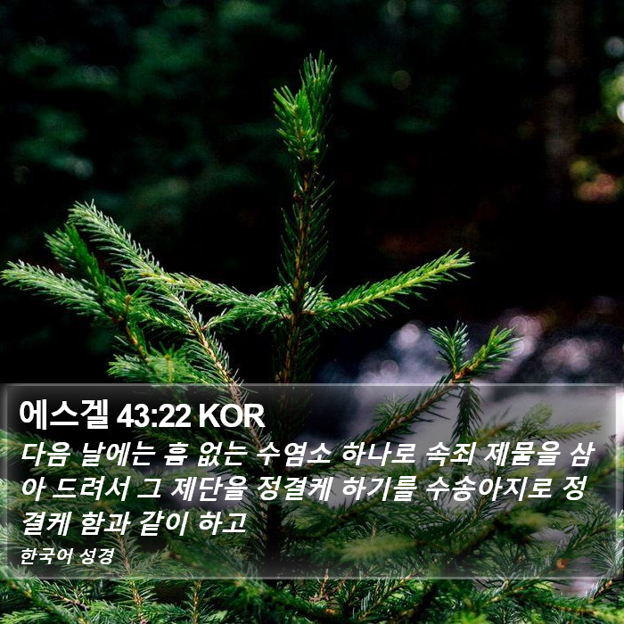 에스겔 43:22 KOR Bible Study