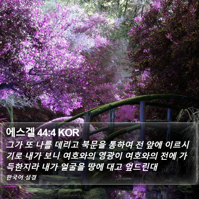 에스겔 44:4 KOR Bible Study