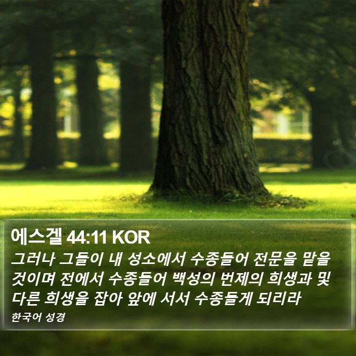 에스겔 44:11 KOR Bible Study