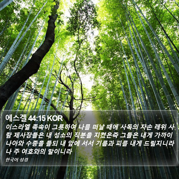 에스겔 44:15 KOR Bible Study